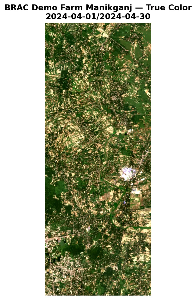 True color satellite image